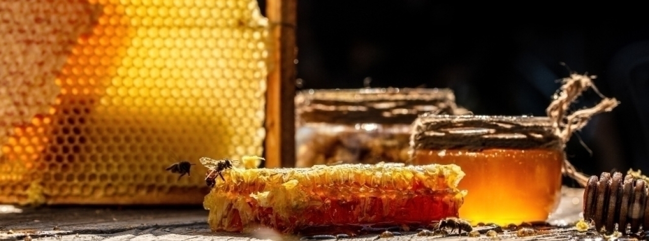 banner