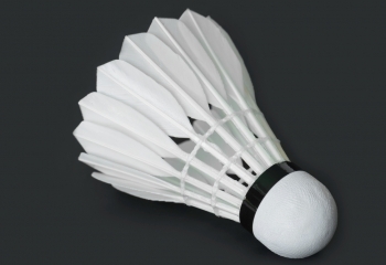 Badmintonboll banner