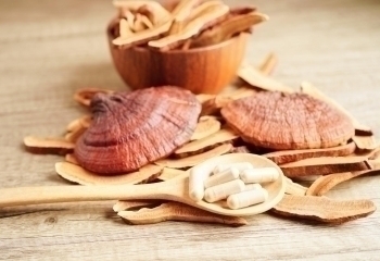 Reishi banner