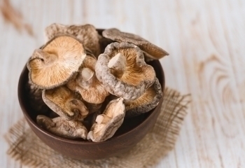 Shiitake banner