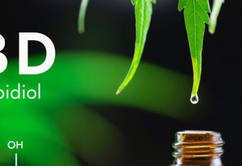 CBD Kapslar banner