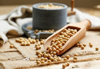 Sojaprotein banner