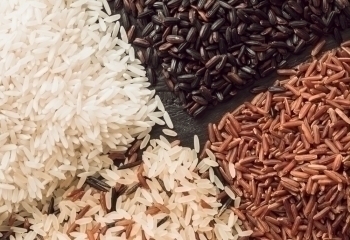 Risprotein banner