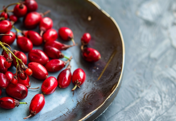 Berberine banner