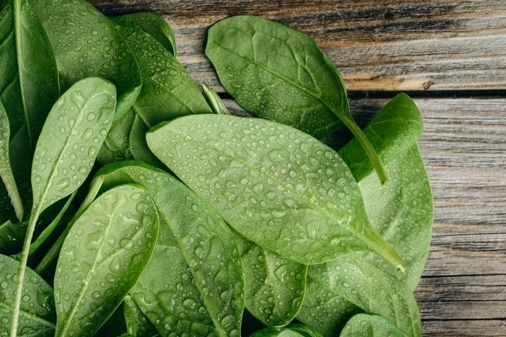 Wet fresh green baby spinach leaves on a wooden background2