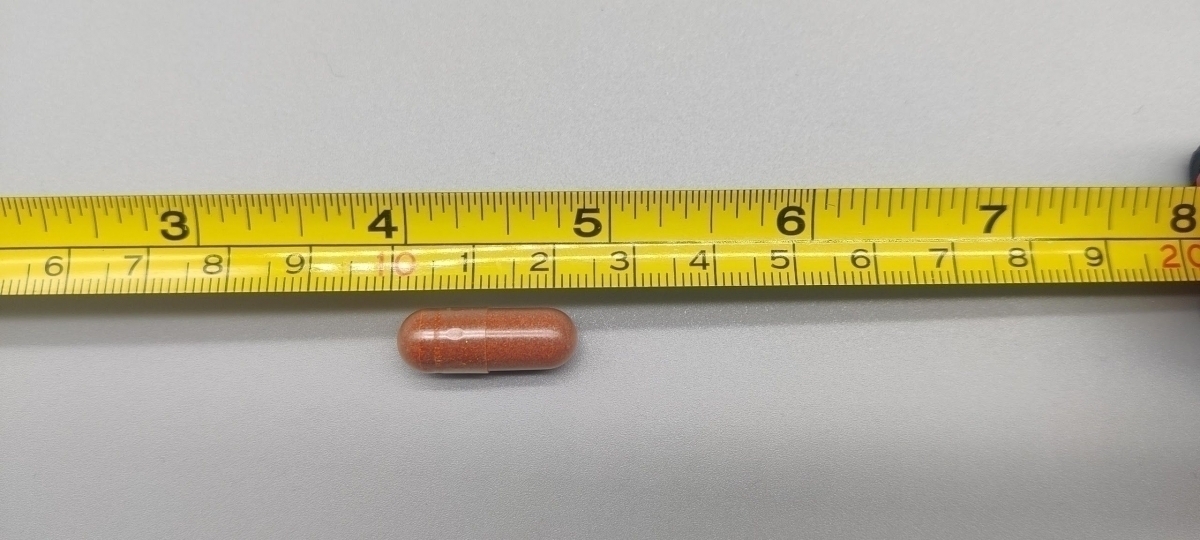 Närbild av en kapsel bredvid måttband cirka 2 cm, fotograferad av oss
