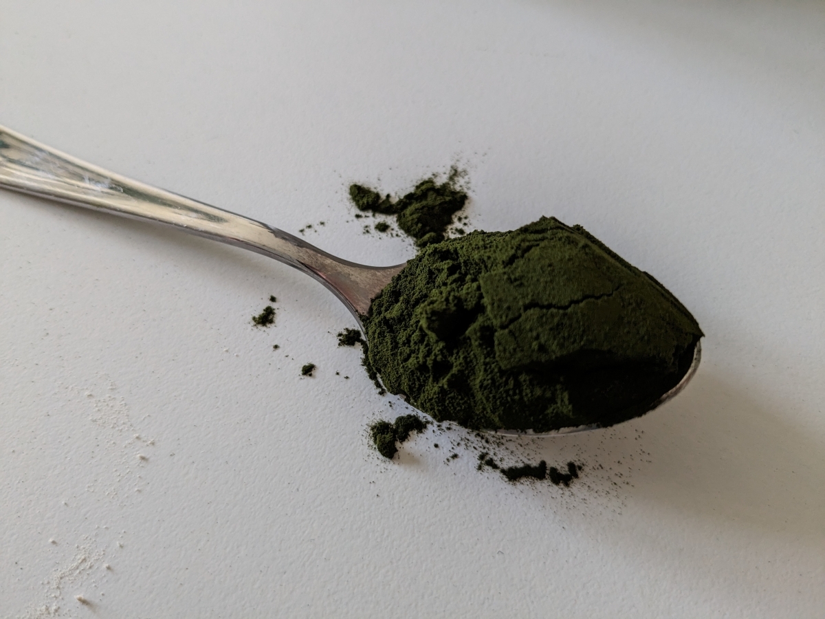 Finmald mörkgrön chlorella i sked med pudrig struktur, fotograferad av oss