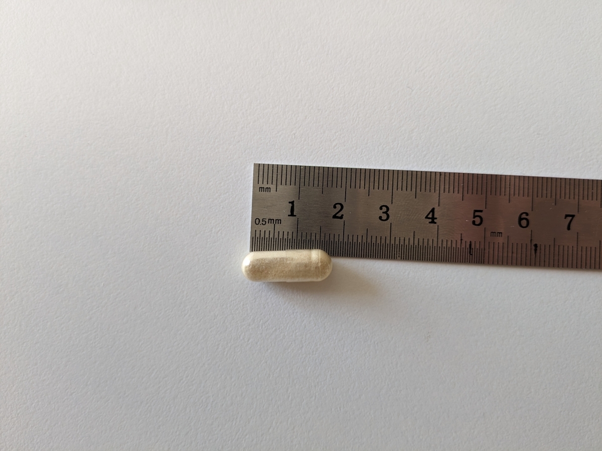 Närbild av Holistic LactoVitalis Pro-kapsel bredvid linjal som visar den kompakta, lättsvalda storleken