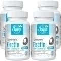 Cestfilo Fisetin