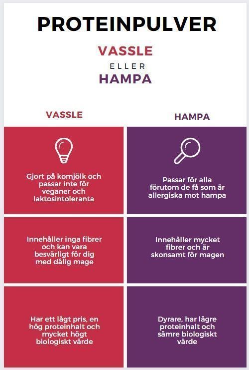 vassle vs hampa