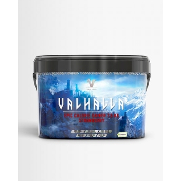 Viking Power Gainer Valhalla