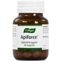 Apiforce Bidrottninggele
