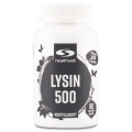 Healthwell Lysin 500