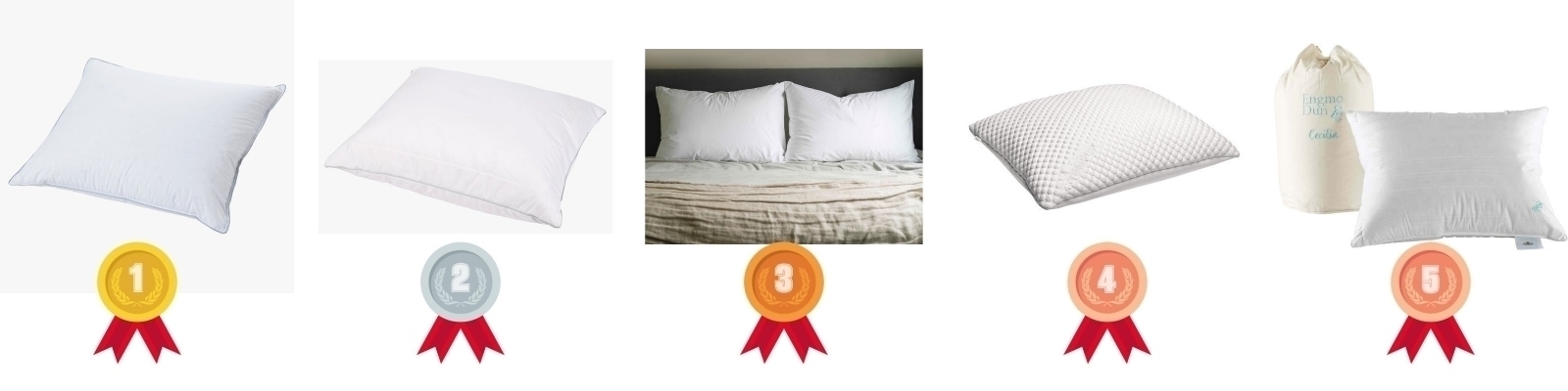 testvinnarna