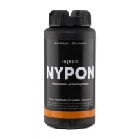 Nypozin
