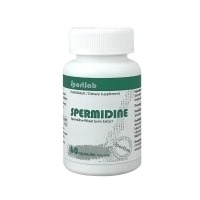 Sportlab Spermidine